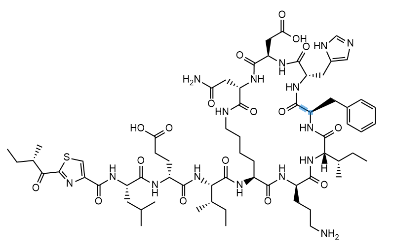 Bacitracin EP Impurity E